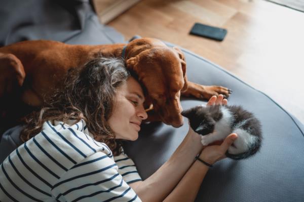 pet survey