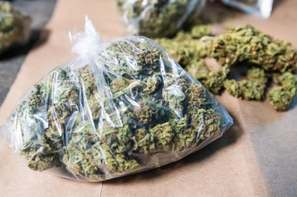 Bags of marijuana