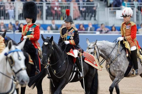 Princess Anne won praise as she wielded an unruly horse outside Buckingham Palace during Trooping the Colour on Saturday. 