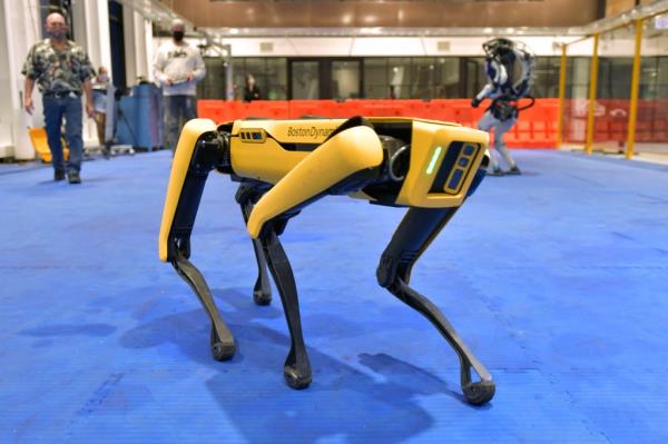 One of Boston Dynamics' spot robots 