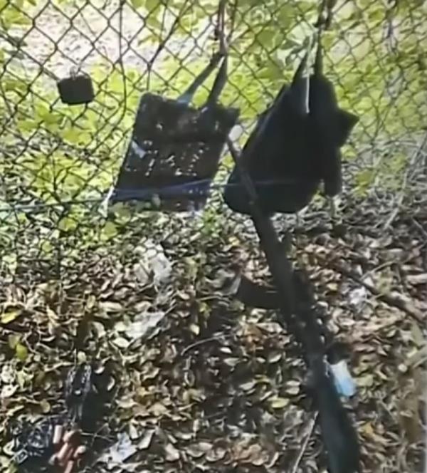 The suspect allegedly left behind his firearm, two backpacks, and a GoPro camera, according to reports.</p>

<p>　　