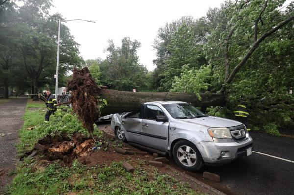 FDNY firefighters respo<em></em>nding to a large tree fallen across Parkside Avenue, causing traffic reroute and damaging at least two vehicles