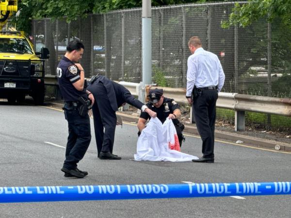 A DOT vehicle struck and decapitated a pedestrian in Dyker Heights Brooklyn.