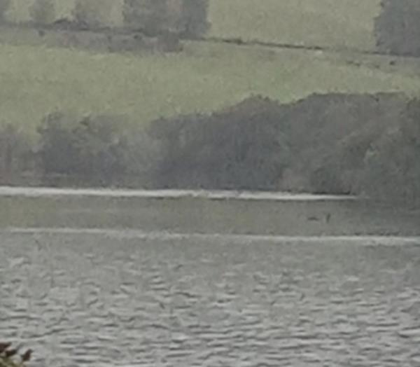 Grainy image which claims to show 'evidence' of Scotland's mythical Loch Ness Monster