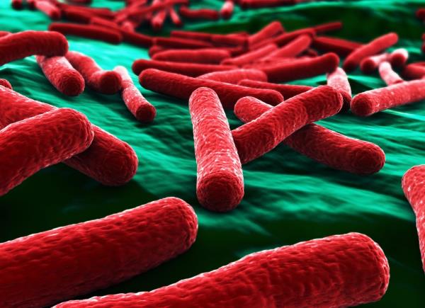 Closeup of E. coli bacteria 