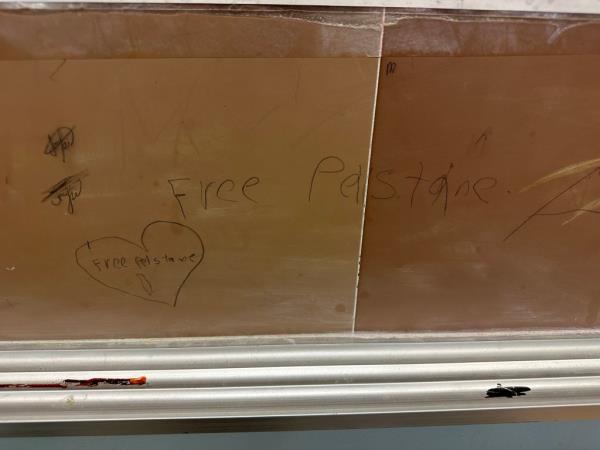 a school bulletin board with the words Free Palestine spelled P-e-l-s-t-a-n-e