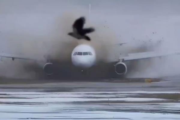 Plane veering off runway