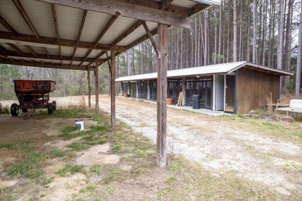 The hanger and dog kennels