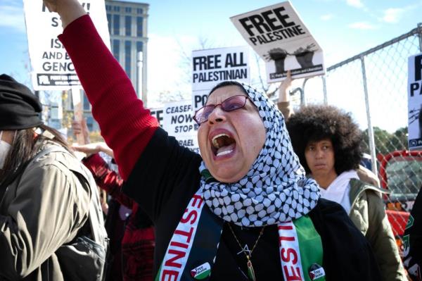 Pro-Palestinian protesters