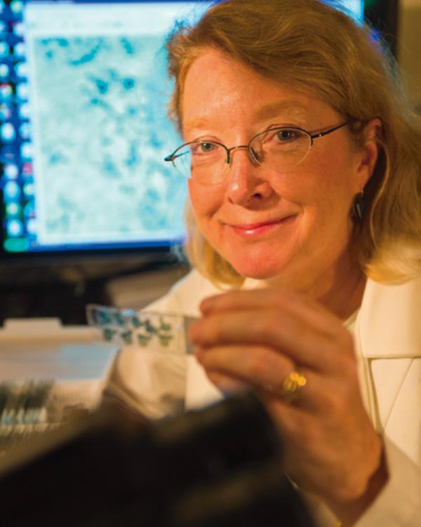 Professor Margaret McCarthy