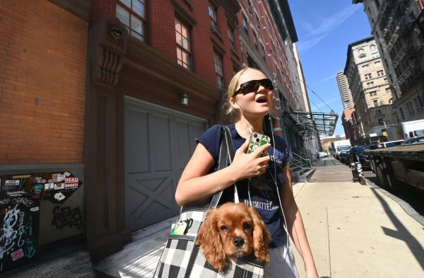 Taylor Swift fan in front of the celebrity's townhouse