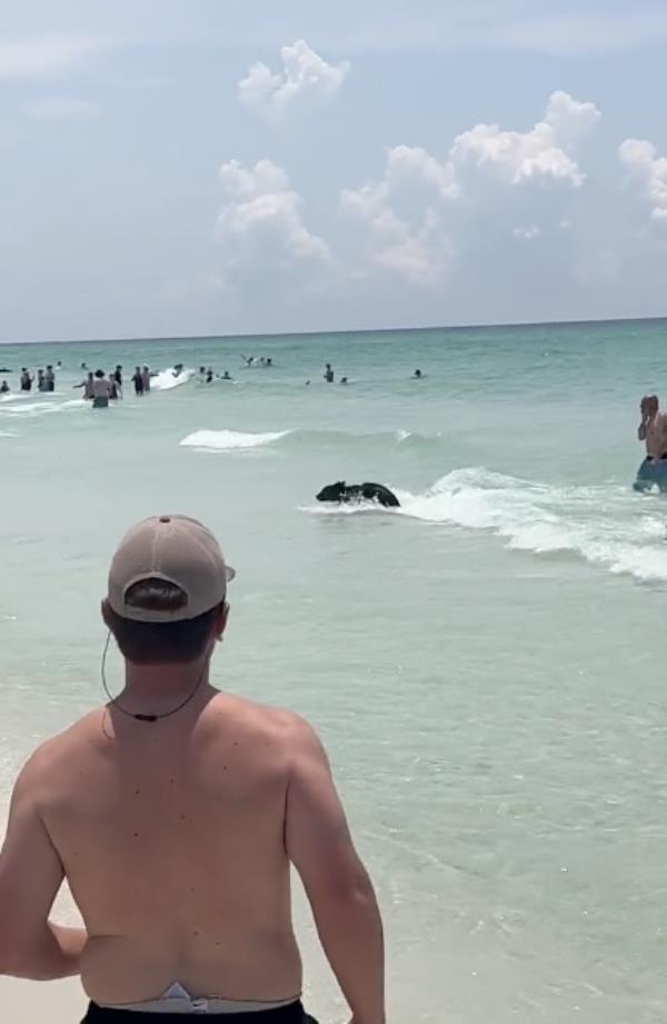 The beach went into the shallow end of the water Sunday. 