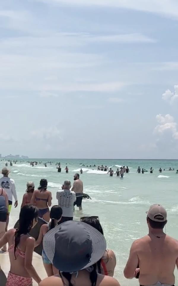 The bear eventually ran off after taking a dip.