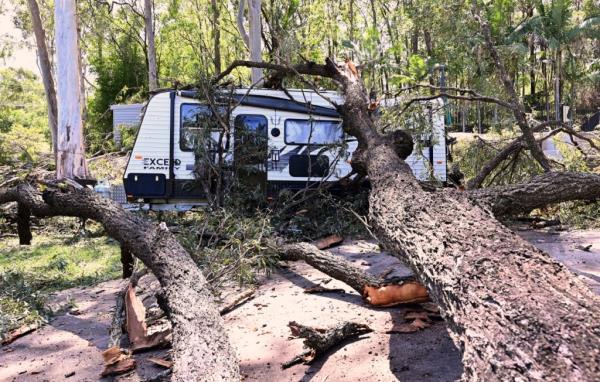 A fallen tree lays across a camping trailer near the Gold Coast, Australia on Dec. 26, 2023. 