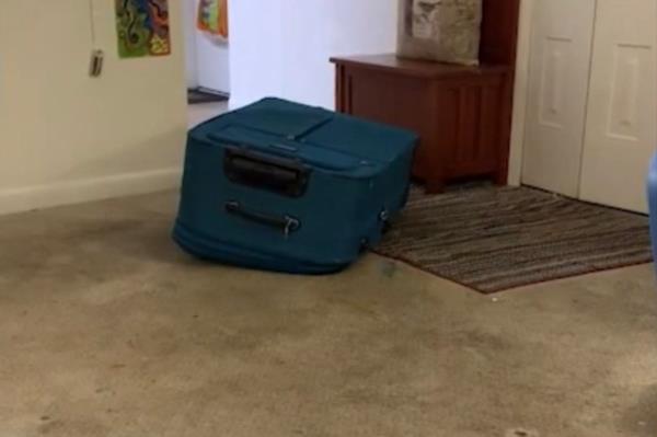 A zipped suitcase.
