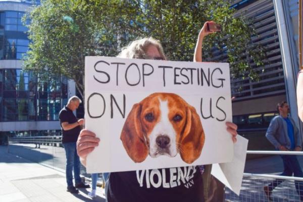 A protester holds a placard calling for an end to testing on