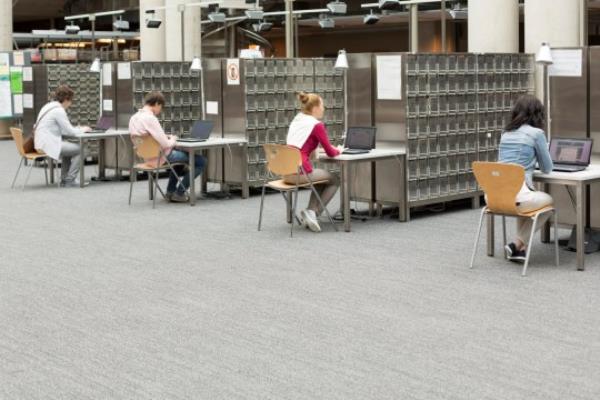 The director of the library was dismissed for negligence (Picture: Getty Images/Westend61)