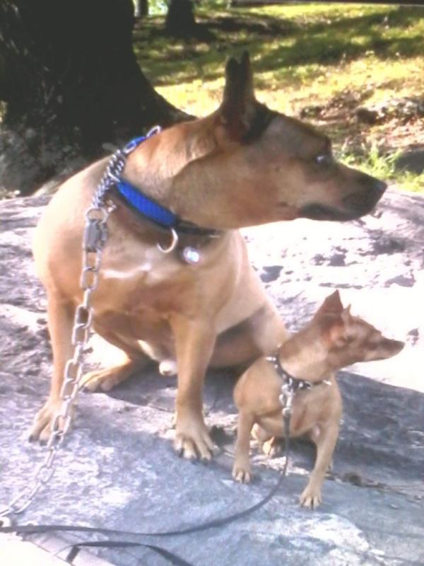 Eli (left) and Sadie