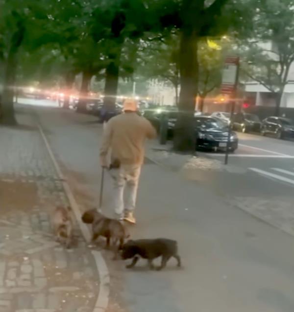 An unknown man and his three dogs. 