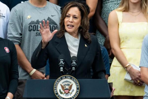 卡玛拉·哈里斯(Kamala Harris)获得了获得提名所需的一半以上的民主党代表