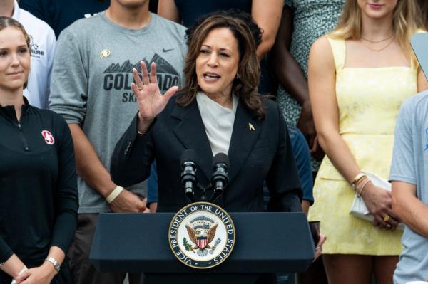 A survey found that Vice President Harris has the support of other half the delegates she will need to become the Democratic presidential candidate.