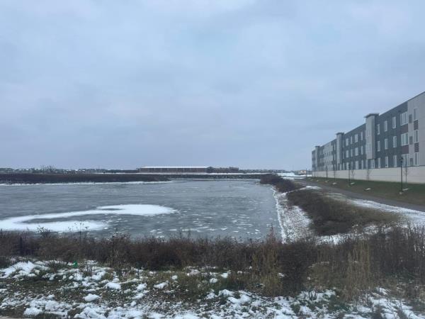 The brothers were playing around a pond in Sun Prairie after school when they fell through the ice on Jan. 5.
