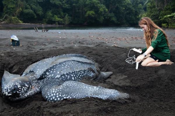 Callie Veelenturf was in a legal battle to protect herself from sexual harassment in 2018 but realized nature did not have the same legal recourse she had as a human.