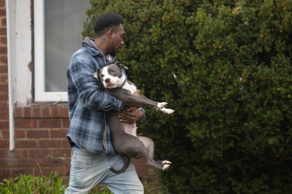 Gayle carrying the couple's dog, Daisy, into a car.