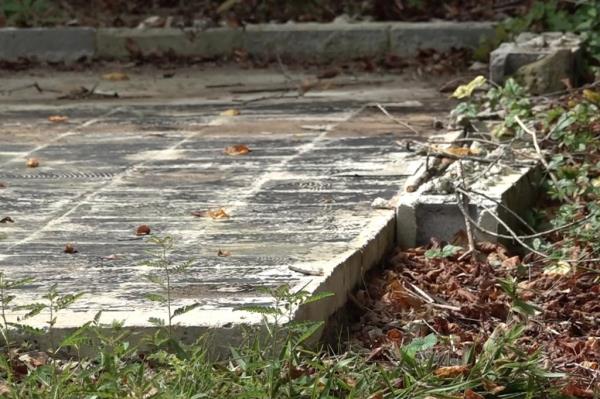Herbert claims the county “secretly sped up the demolition.