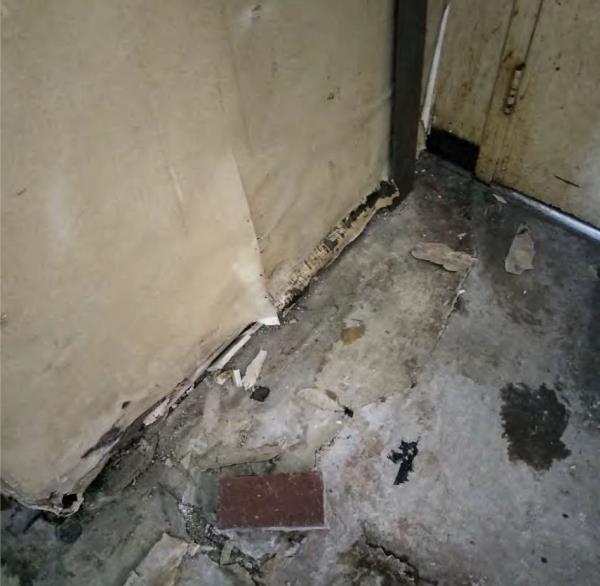 Ceiling debris seen all over the dirty carpeted floor