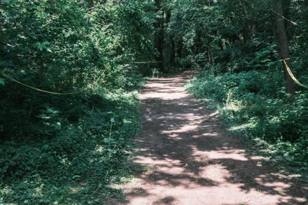 NYPD Deputy Commissio<em></em>ner Kaz Daughtry leading a group of officers and press through a forested path in Kissena Park, Queens, to the location of a reported incident