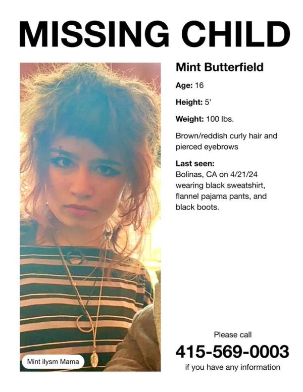 Mint Butterfield allegedly has a history of substance abuse and has been known to frequent Tenderloin in the past