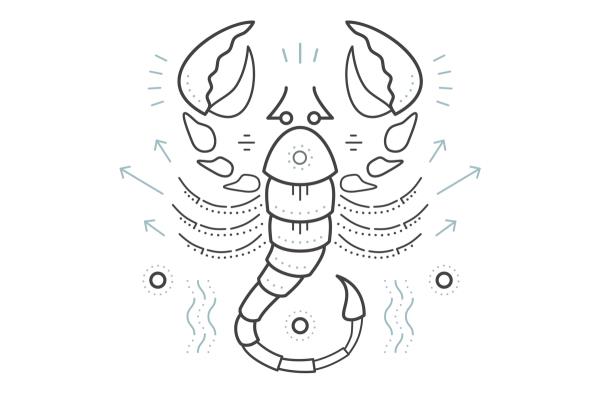 每日星象：10月24日