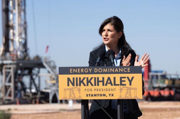 Republican presidential candidate Nikki Haley said the federal indictment of former President Do<em></em>nald Trump shows that he was 