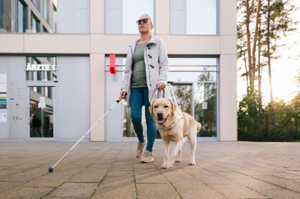 LambdaVision's one-of-a-kind product aims to help patients with retinitis pigmentosa, a genetic cause of blindness, and macular degeneration, the leading cause of blindness in adults over 55.
