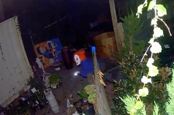 A person dressed as a clown caught on camera attempting to steal from a business