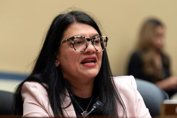 Rep. Rashida Tlaib