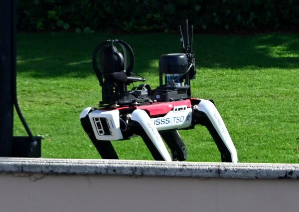 robot dog