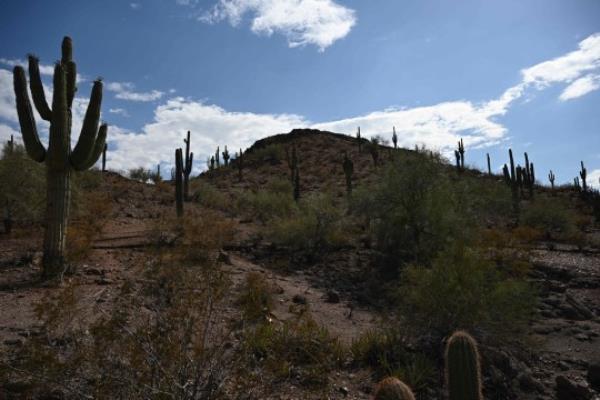 Extreme heat hit the Phoenix area this summer 