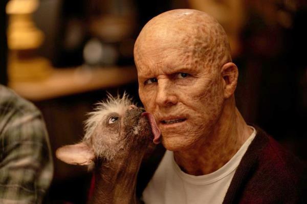 Ryan Reynolds getting licked by a dog