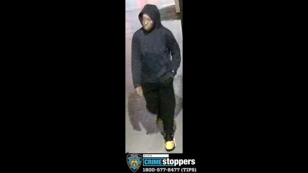 The suspect, who ran off with the victim's pocketbook, is still on the lam, cops said.  