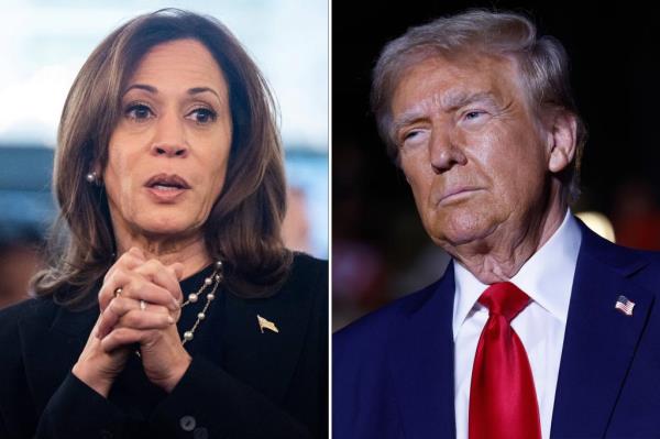 如果没有2024年总统候选人获得270张选举人票会发生什么？