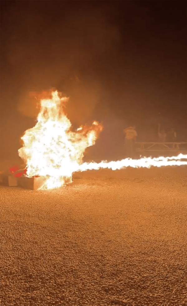 The post of the flame-throwing went viral, garnering 19 million views on X — prom<em></em>pting democrats to come down on the two senators. 