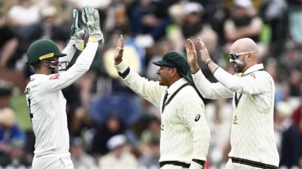 Nathan Lyon celebrates at Basin Reserve.