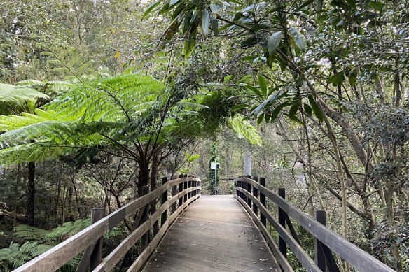 Many endangered species - including koalas, sugar gliders and birds - are found in the major green areas at Chermside and McDowall beside the original Trouts Road route.
