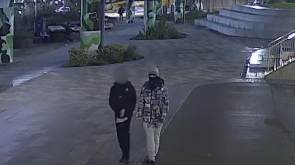 两名青少年在诺丁汉滑板公园用砖头谋杀了一名男子