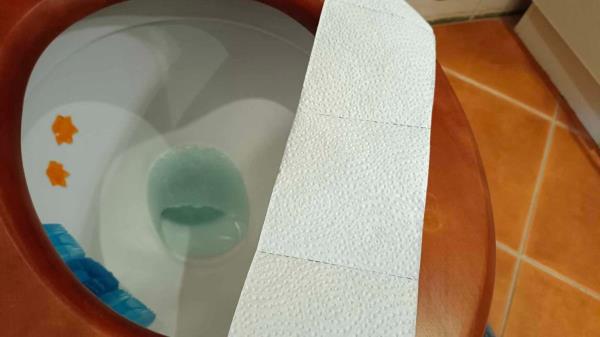 Do you use a public toilet? Quit the disgusting habit. Mothers said you should, but that's not true