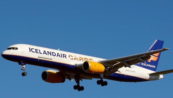 冰岛航空集团(Icelandair Group)希望今年扭转货运部门亏损的局面