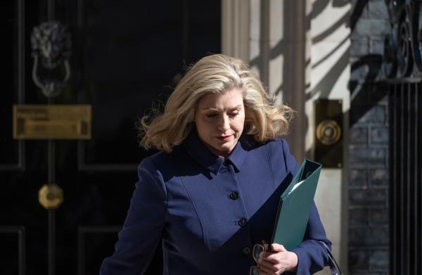 莫当特、里斯-莫格和沙普是保守党选举的牺牲品