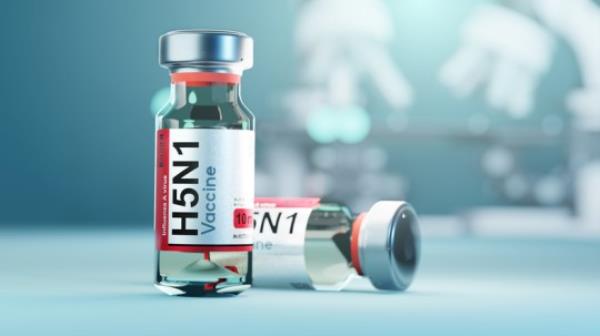 Current flu vaccines protect against the H1N1 strain of swine flu 